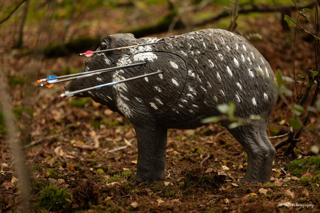 Experience the Dutch National 3D Archery&nbsp;Championships