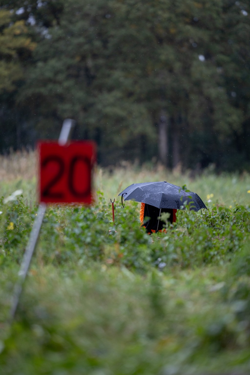 Rain, Wind And Coldness: The Dutch Championship Field in&nbsp;Autumn